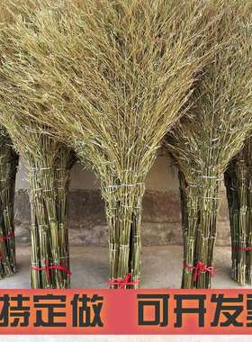 竹扫把环卫扫帚马路院子扫地工厂金枝大号户外工地家用大扫把学校