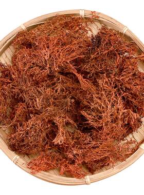云南树花凉拌下饭菜500g包邮