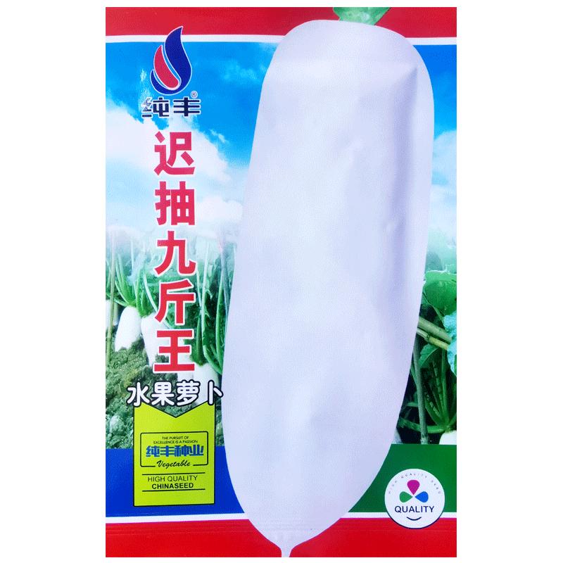 九斤王特大白水果萝卜种子阳台农家庭院夏秋季播种蔬菜种籽孑大全