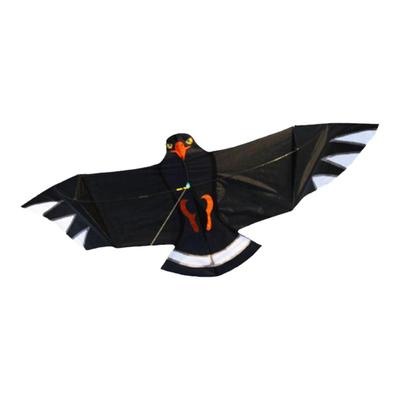 飞阳前撑杆老鹰风筝成人微风易飞