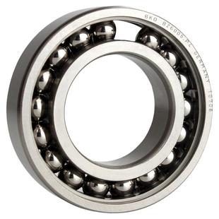 德国BKD进口高温轴承BZ6207 BZSY6207ZZ/P5