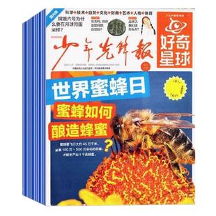 【全年/半年订阅】好奇星球报纸国际+国内版2026年单月现货可选 少年先锋报刊书籍杂志6-12岁中小学生The Week Junior新闻故事科普