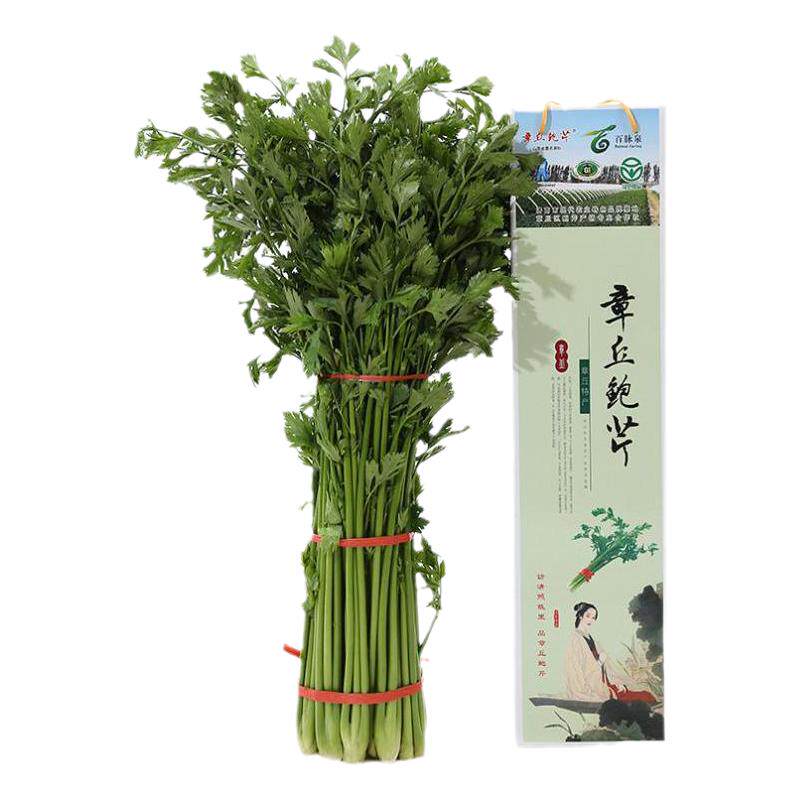 鲍芹正宗章丘产地直发净芹脆微甜其它
