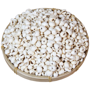 薏米传统老式爆米花炒熟小薏米仁原味无油不加糖解馋夏季零食袋装