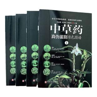 中草药真伪鉴别原色图谱全套4册中药材饮片鉴别彩色图谱 图解本草纲目正版彩图植物图鉴中医学书籍中草药材彩色图谱中草药彩图大全
