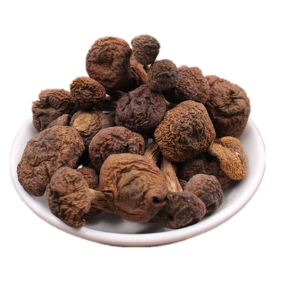 东北特产野生榛蘑小鸡炖蘑菇新鲜