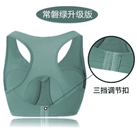 Chang Pan Green 【Back Decuction】