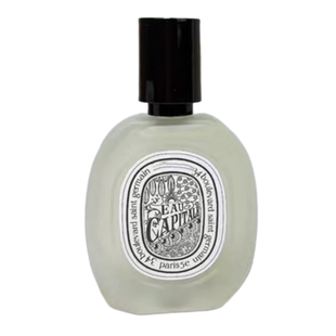 巴黎之水头发喷雾30ML外贸跨境平替香水夏日之光感官之水肌肤之花