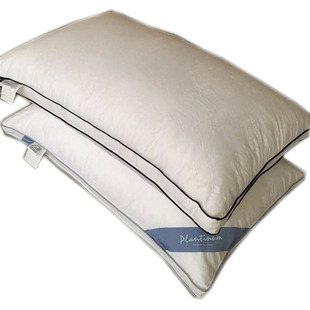 出口意大利外贸防螨抗菌枕头羽丝绒枕芯安神助眠护颈枕喜来登同款