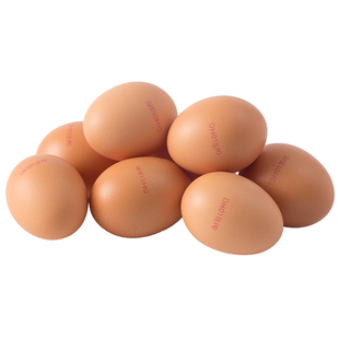 丹麦都尔霍姆有机鸡蛋10枚有机散养新鲜安全营养鲜鸡蛋尝鲜装