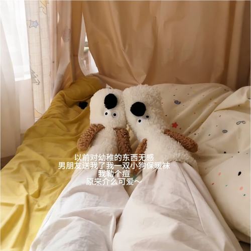 地板袜珊瑚绒袜子卡通小狗保暖袜月子睡眠袜加绒加厚毛绒中筒袜女