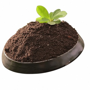 草莓专用营养土壤种植土瓜果养花蔬菜通用土疏松透气养花盆栽花泥