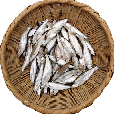 微山湖小白条鱼刁子翘嘴净膛顺丰