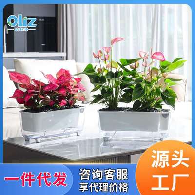 阳台透明双层储水盆窄边种植盆长方形大号懒人花盆园艺