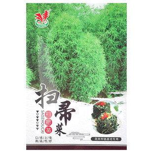 扫帚菜种子扫把菜苗种籽地肤子地麦盆菜观赏食用蔬菜孑菜籽