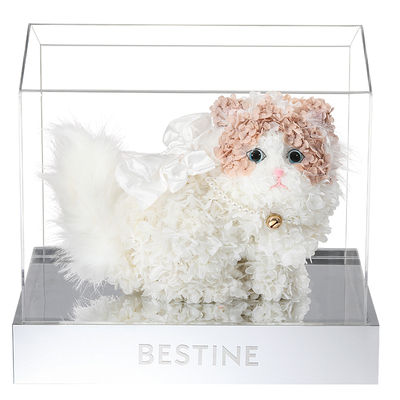 BESTINE柏治廷永生花布偶猫礼盒猫咪摆件送女友新婚生日表白礼物
