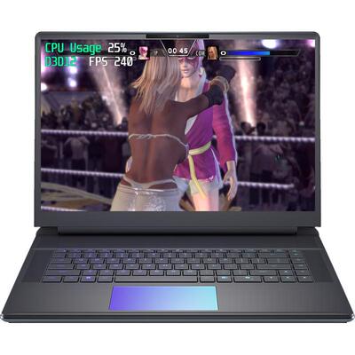 电脑玩搏击玫瑰XX全DLC全角色