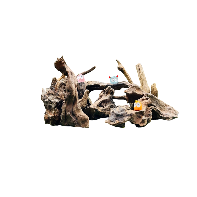 苔藓微景观装饰木头木桩鱼缸原木沉木摆件森林花盆盆景装饰品配件