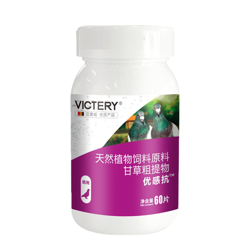 汉诺威优感康赛鸽呼吸衣原非鸽药