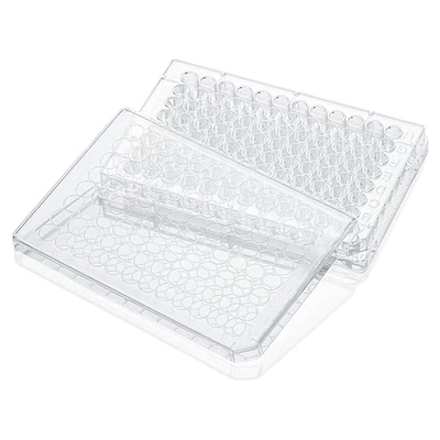 LABSELECT96孔细胞培养板无热原