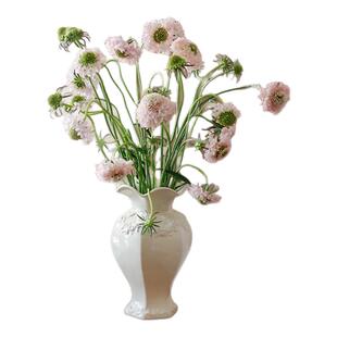 松虫草鲜花云南直发客厅插花配花配草水培绿植真花鲜切花蓝盆花