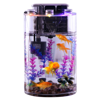 出口欧洲玻璃鱼缸免换水生态鱼缸