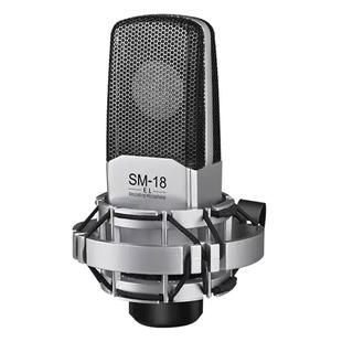 得胜sm18 el迷笛r2声卡小振膜专业唱歌话筒麦克风唱歌直播套餐