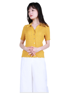 Anlom/娅奴夏季POLO领针织开衫