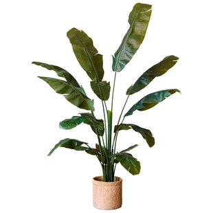 掬涵仿真绿植芭蕉叶天堂鸟假树仿生植物客厅室内大型盆景摆件装饰