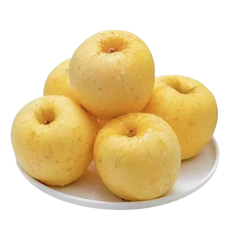 山东烟台黄金奶油富士新鲜9斤应当季水果脆甜冰糖心奶油苹果整箱