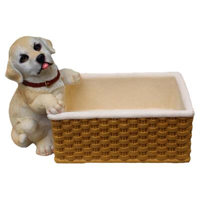 花园布置庭院造景植物盆栽花盆