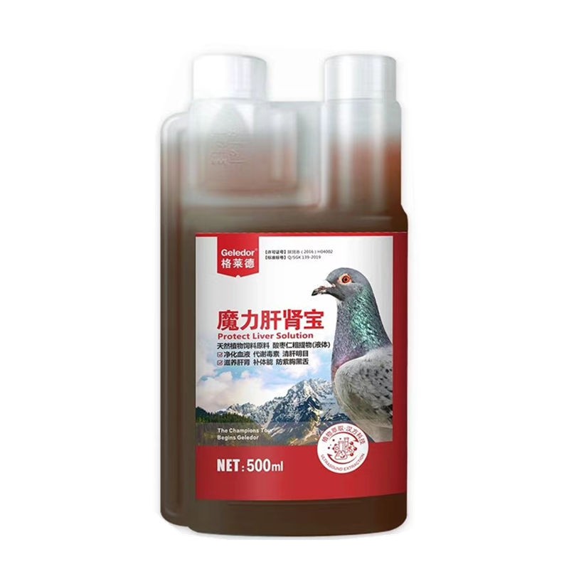 格莱德信鸽肝精肝肾宝非鸽子药