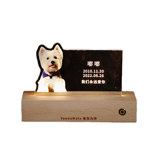 长明灯宠物纪念品离世狗狗去世猫咪摆台毛发纪念相框骨灰照片定制