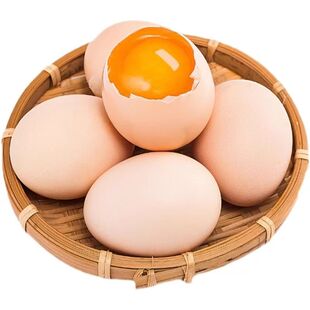 正宗林下散养土鸡蛋50枚谷物新鲜笨鸡蛋农家柴鸡蛋儿童辅食早餐