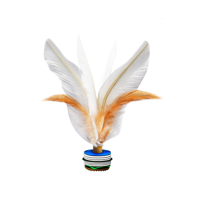 运动比赛专用毽子小学生踢毽子用