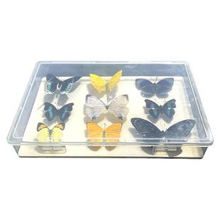 小号透明昆虫标本盒蝴蝶蜻蜓昆虫等标本室各种标本插针储藏存放盒