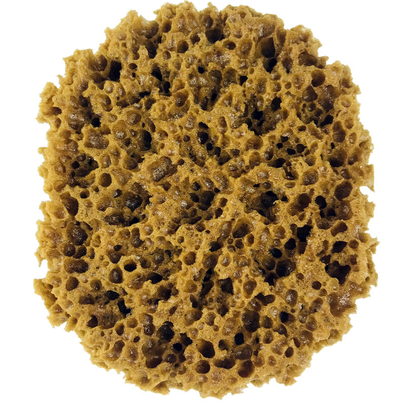 进口人工海藻绵拍艺术漆海绵拍工具三色珠光点彩印花仿天然海藻拍
