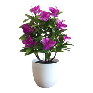 仿真植物盆栽 新款蝴蝶兰塑料假花盆景 人造花 家居装饰绿植摆件