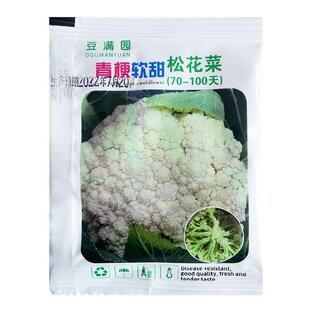 青梗松花菜种子甜软花菜菜花种籽大全秋季晚熟四季蔬菜苗种孑