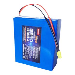 24v锂电池 聚合物动力遥控打窝船模推进器电机轮椅户外大功率电源