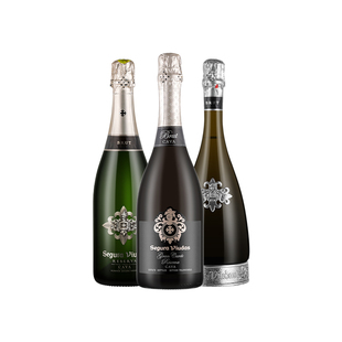 【自营】西班牙进口维达斯酒庄珍藏卡瓦起泡葡萄酒古堡典藏750ml