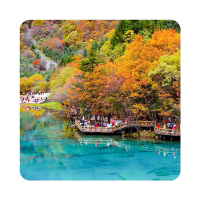 成都九寨沟黄龙四姑娘山4天小团