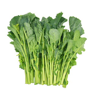 四川新鲜绿色蔬菜鲜嫩油菜苔 实惠装 蔬菜绿芸薹菜台菜苔芥 包邮