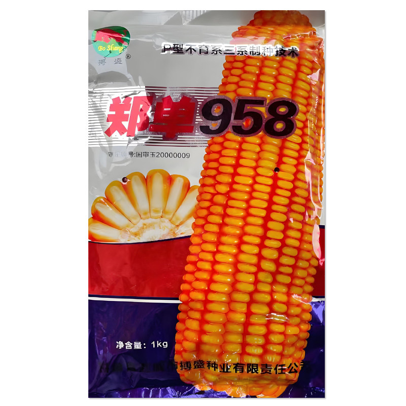 郑单958玉米种子农科院正品