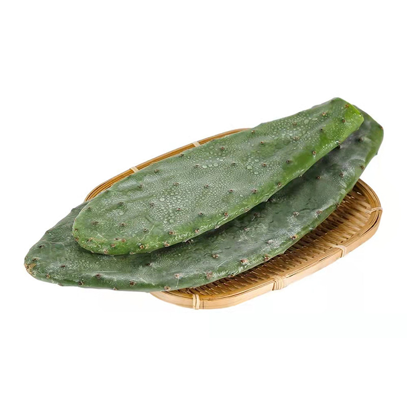 仙人掌部落 墨西哥米邦塔食用仙人掌  可以吃的梨果仙人掌嫩片