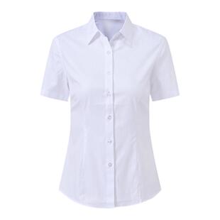 夏季女白色竖条纹短袖衬衫收腰 V领OL上班衬衣浅蓝加大码工装长袖