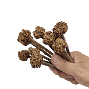 虫瘿果木天蓼猫薄荷棒棒糖猫咪逗猫棒减压爱咬磨牙洁齿棒猫咪用品