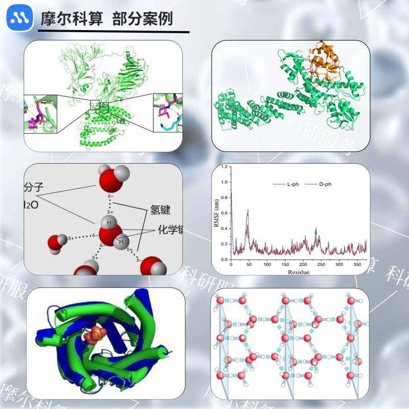 分子对接 分子动力学模拟 蛋白对接 同源建模 虚拟筛选 MD计算