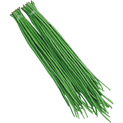 特长豆角种孑特长豆角春夏秋季豇