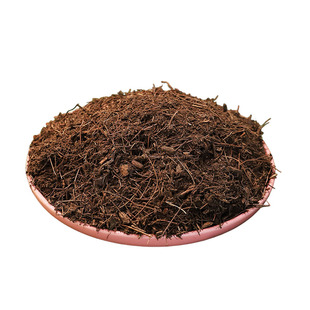 松针发酵腐熟无土纯松针天然垫材养兰花多肉君子兰专用营养腐殖土